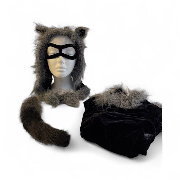 Sweet Raccoon Dress Halloween Costume Girls Size 4-6T Dress Up Play Theater - Picture 7 of 11